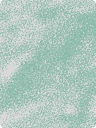 Web Development Card